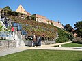 Weinberg an der Stadtmauer