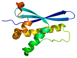 Белок SGK3 PDB 1xte.png