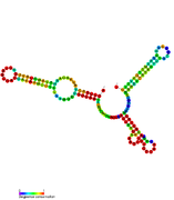 RsaA: Secondary structure of RsaA. Rfam family RF01816