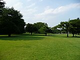 狭山稲荷山公園（2008年7月）