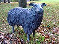 Schaap op de Brink van Loon door Gert Sennema