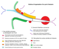 Vignette pour la version du 23 avril 2013 à 12:00