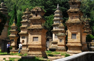 Hutan pagoda