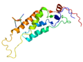 Structure of the Tobacco Mosaic Virus coat protein