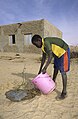 Image 10Young man waters a newly planted tree in Mali (2010) (from Agroforestry)