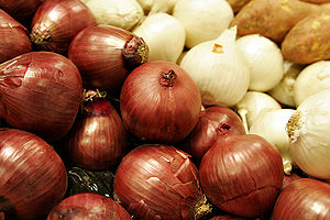 Layers of the onion...and life!
