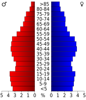 Bevolkingspiramide Clark County