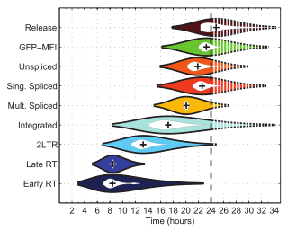 Example of a violin plot in a scientific publication in PLOS Pathogens. Violinplot-hiv-paper-plot-pathogens.svg