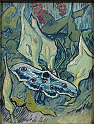 Green Peacock Moth May, 1889 Van Gogh Museum, Amsterdam (F610)