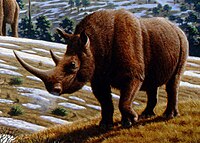 En kunstners fremstilling af uldhåret næsehorn