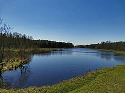 Панарама Ляцкага