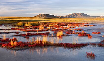 Panorama da reserva da biosfera da depressão de Ubsunur, Tuva, Rússia. (definição 4 504 × 2 676)