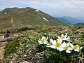 2021年6月2日 (水) 14:45時点における版のサムネイル