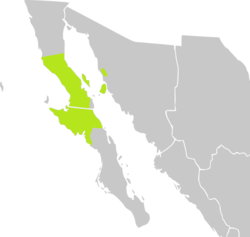 Pylväsokotillon levinneisyys Meksikossa
