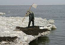 Fishing for amber on the coast of Baltic Sea. Winter storms throw out amber nuggets. Close to Gdansk, Poland. Amber Fisher.jpg