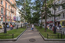 Пешеходная зона Андреевский бульвар между Средним и Большим проспектами Васильевского острова