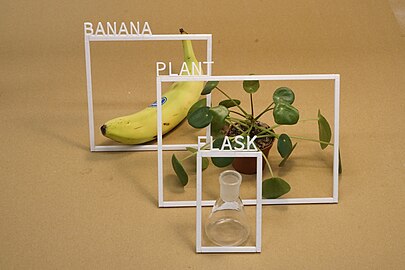 The artist has placed frames around everyday objects—a banana, plant, and flask and labeled them on a beige background