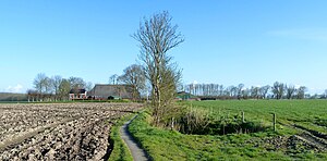 Boerderij Beusum met rechts de wierde gezien vanaf het Panserpad