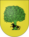 Blason