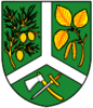 Coat of arms of Borová Lada