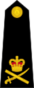 Британская королевская морская пехота OF-8.svg