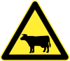 Domestic farm animals Crossing