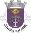 Vlag van Oliveira do Conde