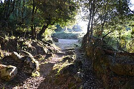 Chemin de randonnée à Moca Croce.