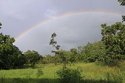 Angolo del parco sovrastato da un arcobaleno