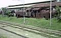 Lokomotif C2813 (ke-2 dari kanan) bersama sejumlah lokomotif uap seri lainnya dalam kondisi mangkrak di Depo Purwokerto, 1995