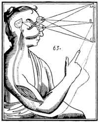 Rene Descartes's illustration of dualism. Inputs are passed on by the sensory organs to the epiphysis in the brain and from there to the immaterial spirit. Descartes mind and body.gif