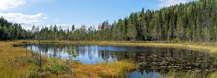 En mindre tjärn väster om Djuptjärnen.