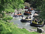 Pirana in Efteling