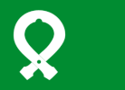 Flag of Øyer