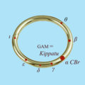 'GAM = Kippatu, « l’Anneau », dans le ciel Mésopotamien.