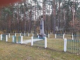 Памятник убитым евреям Щедрина
