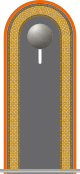 Dienstgradabzeichen auf der Schulterklappe der Jacke des Dienstanzuges für Heeresuniformträger der Feldjägertruppe