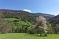 Le hameau d'Essart-Garin (Saint-Martin-de-la-Cluze) au cœur de la vallée.