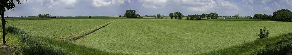 Panorama over Het Schroor vanaf de wierde van Ezinge met links de boerderij bij de kolk (Schoorsterweg 6).