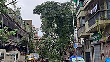 Kolkata after Amphan 14.jpg