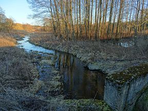 Kubilnyčia 2016 m. vasarį