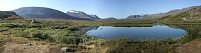 Malet suedeze, Kungsleden