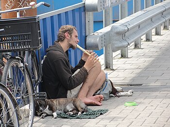 Street musician in Amsterdam