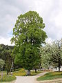 Miniatyrbilete av versjonen frå 6. mai 2014 kl. 18:23