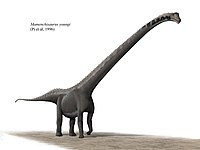 Mamenchizauras (Mamenchisaurus)