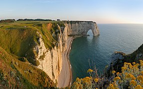 Encore la Manneporte à Étretat, avec comme particularité du Séneçon cinéraire au premier plan. Juillet 2019.