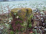 Menhir von Sippersfeld