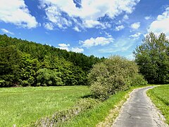 Weg am NSG zw. Birgder Hammer und Leyermühle