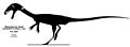 Original skeletal diagram