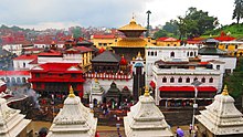 Pashupatinath Temple, Kathmandu Pashupatinath Temple Nepal IMG 7933 2018 15.jpg